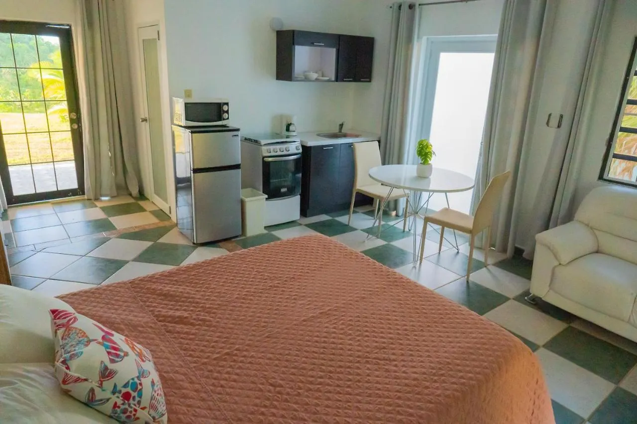 Arecibo Chalet Abreu Apartment 0*,